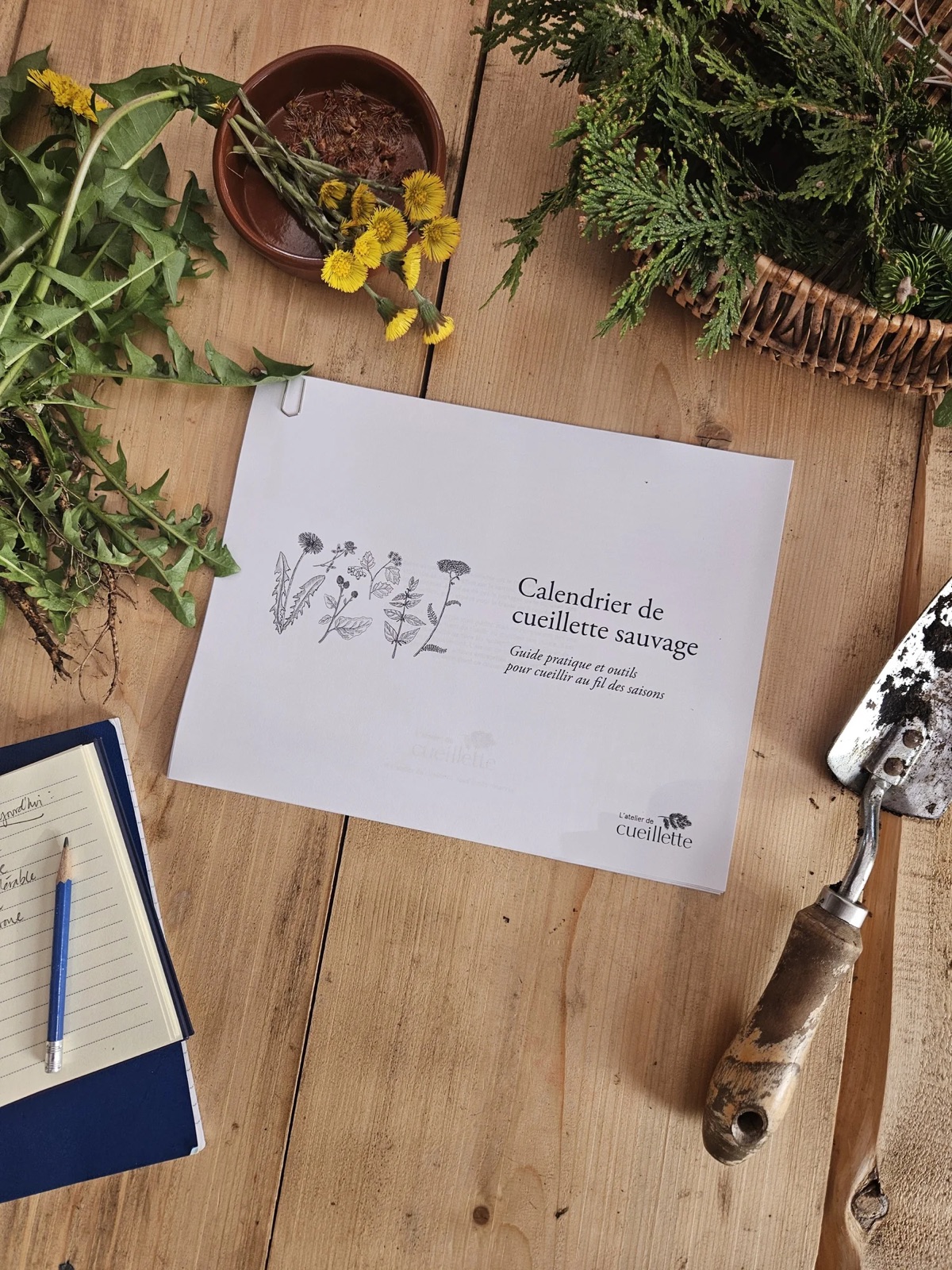 Le calendrier de cueillette ouvert sur une table de bois, entouré de plantes fraîches