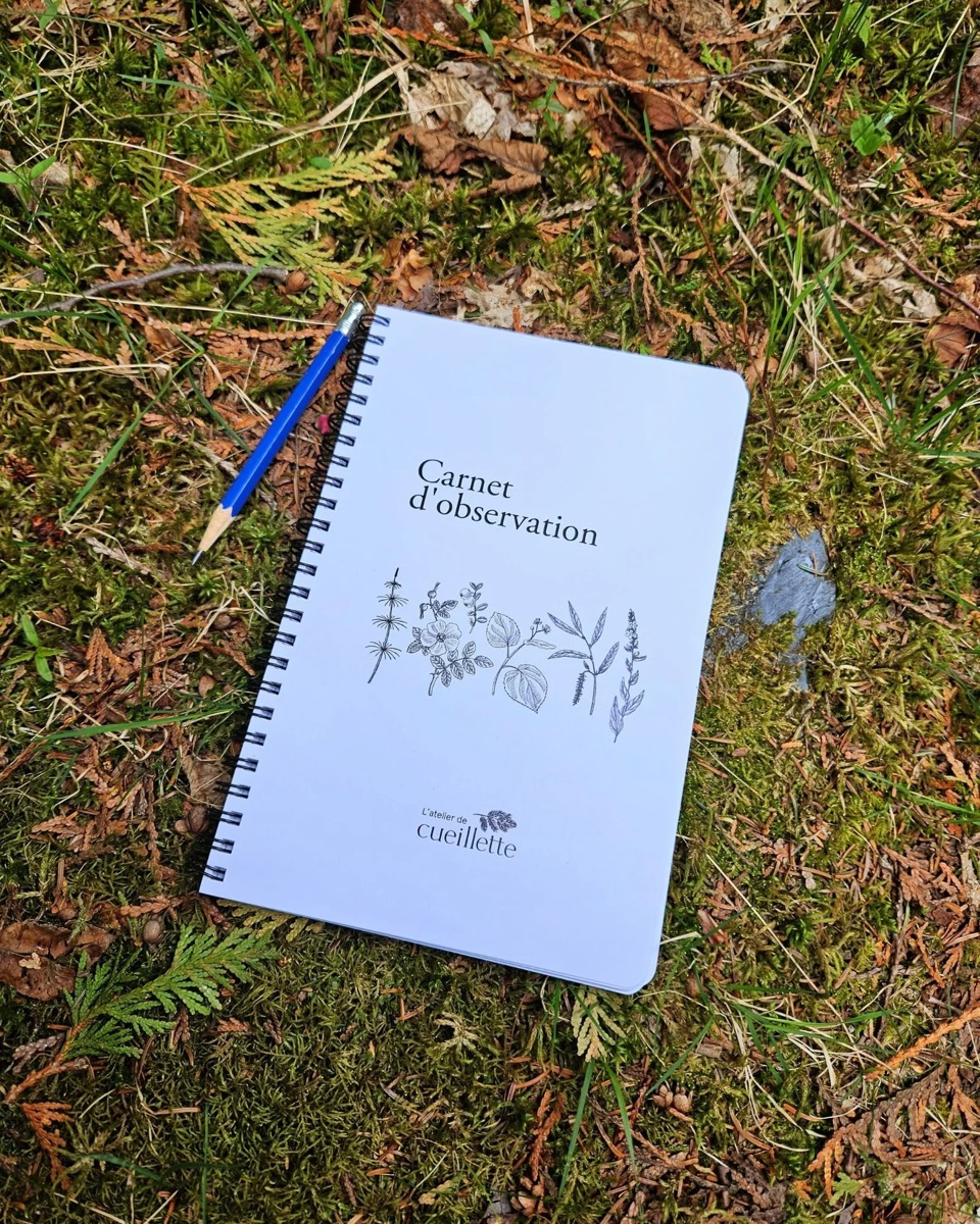 Carnet d’observation posé dans l’herbe