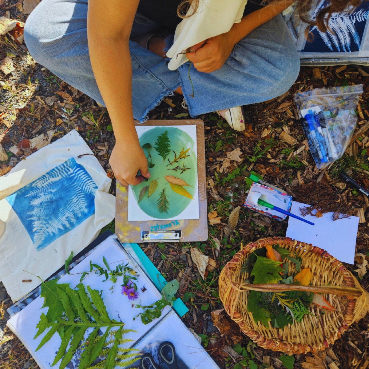 Création d’un cyanotype avec des plantes cueillies