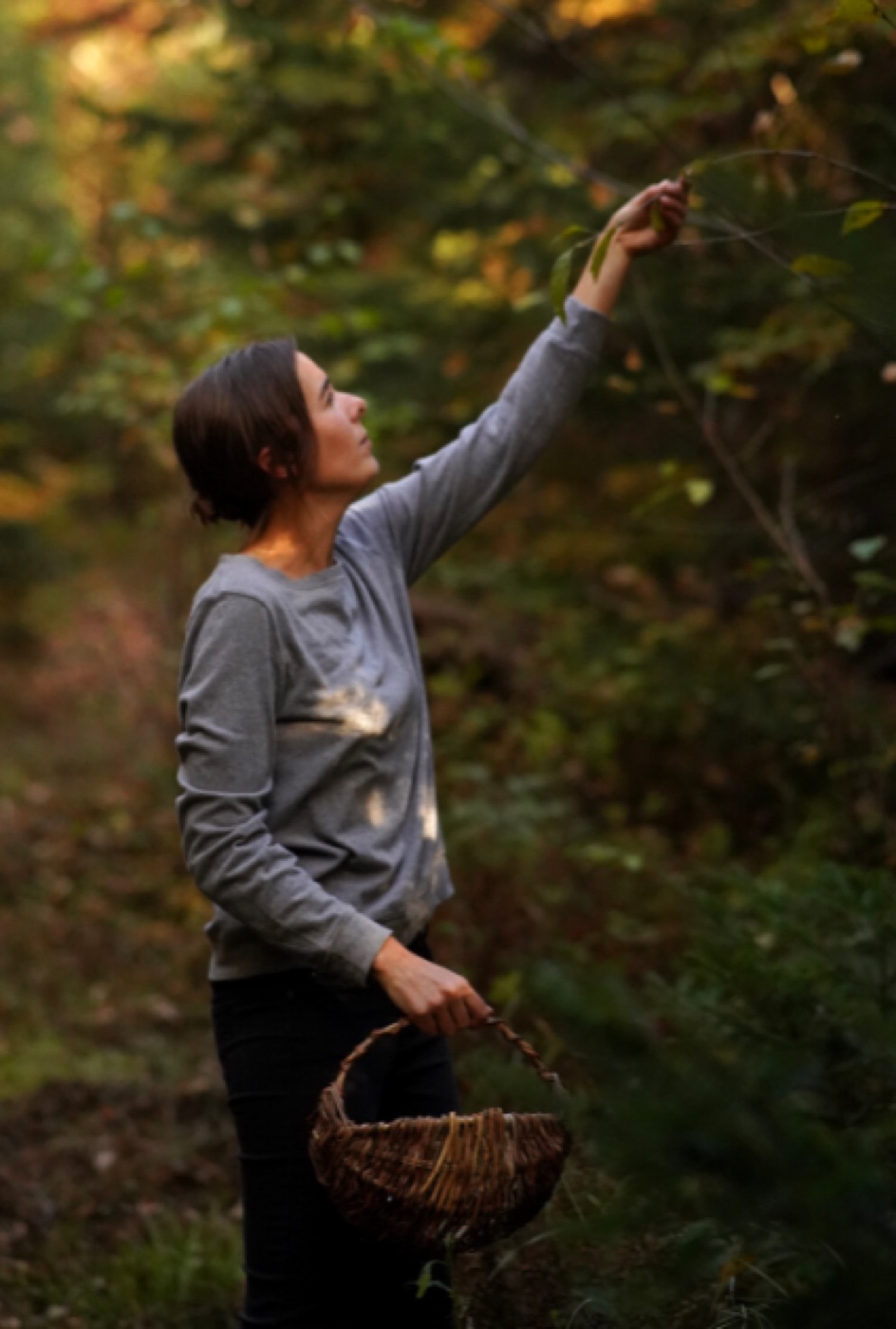 Joanie Bélanger cueille une branche en hauteur, panier au bras