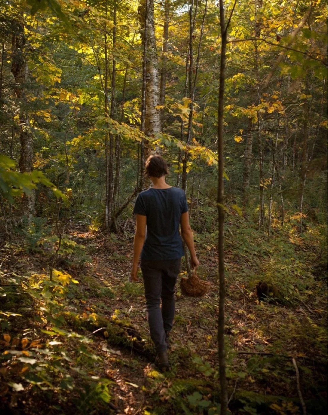 Joanie Bélanger marche dans la forêt familiale, panier au bras