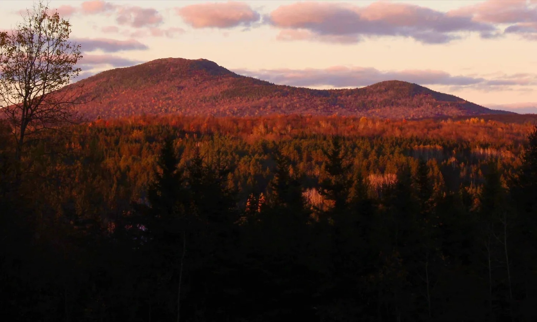 Le mont Ham au coucher du soleil, forêt rougeoyante