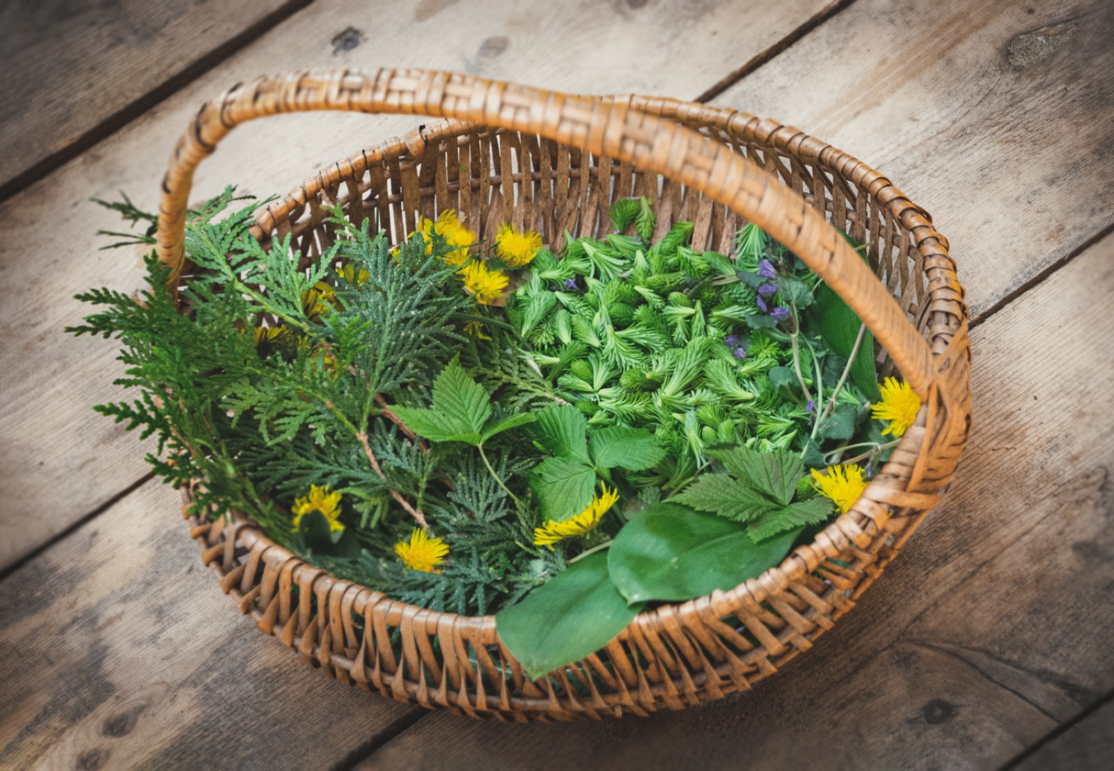 Panier de récolte sur la table de la cuisine extérieure