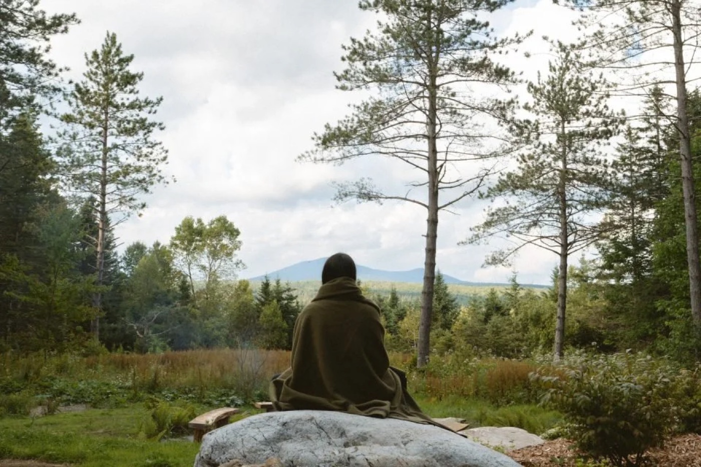 Personne assise sur une roche face à la forêt