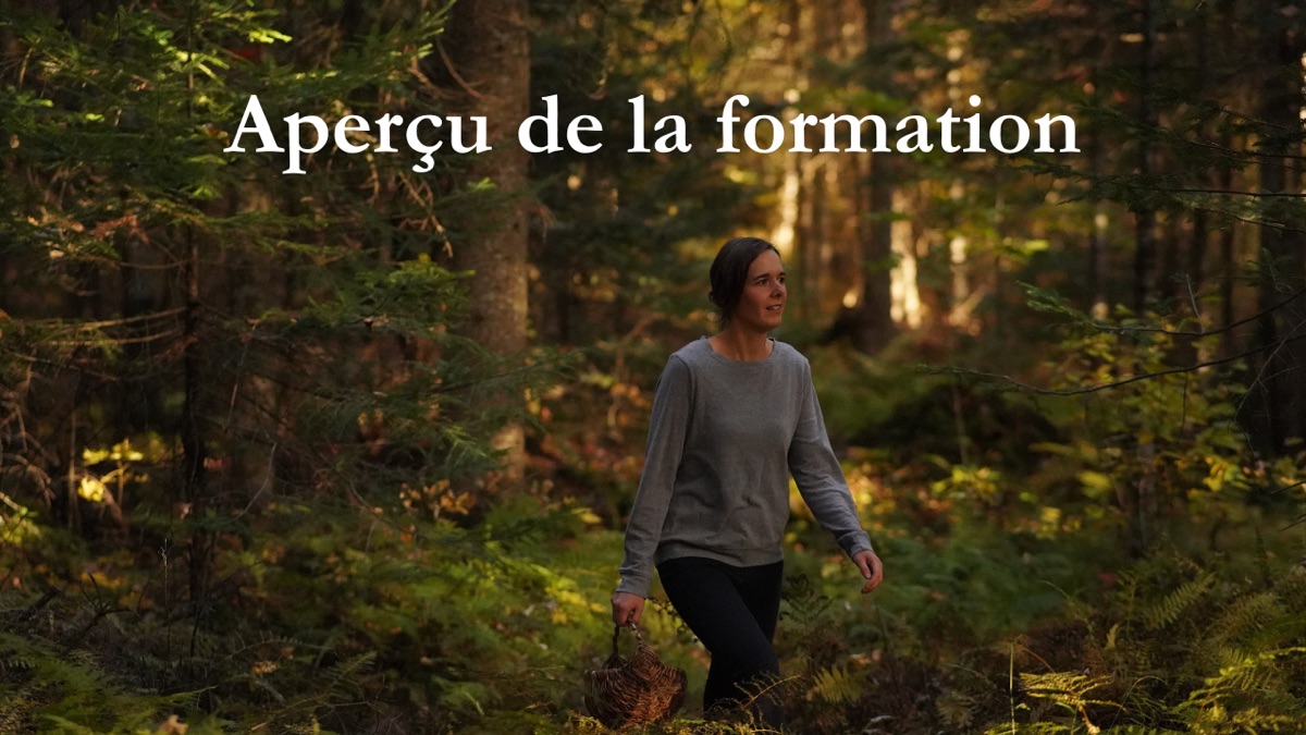 Aperçu de la formation (2 min)